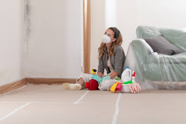 Reliable Mold Remediation contractor in Woolford, MD by WQB Mold Removal